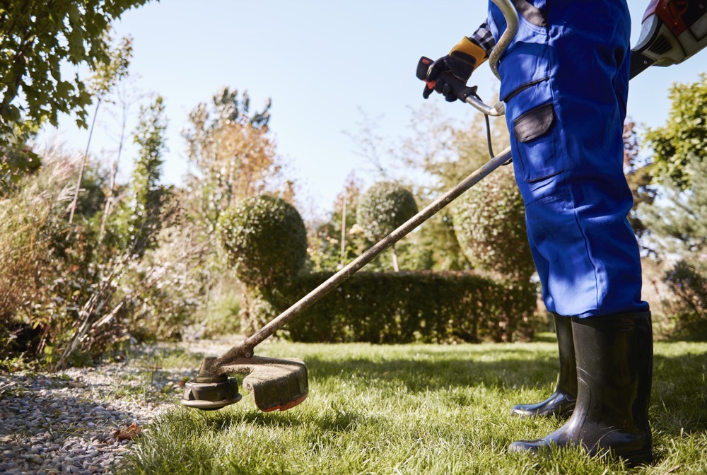 Lawn Care & Landscaping